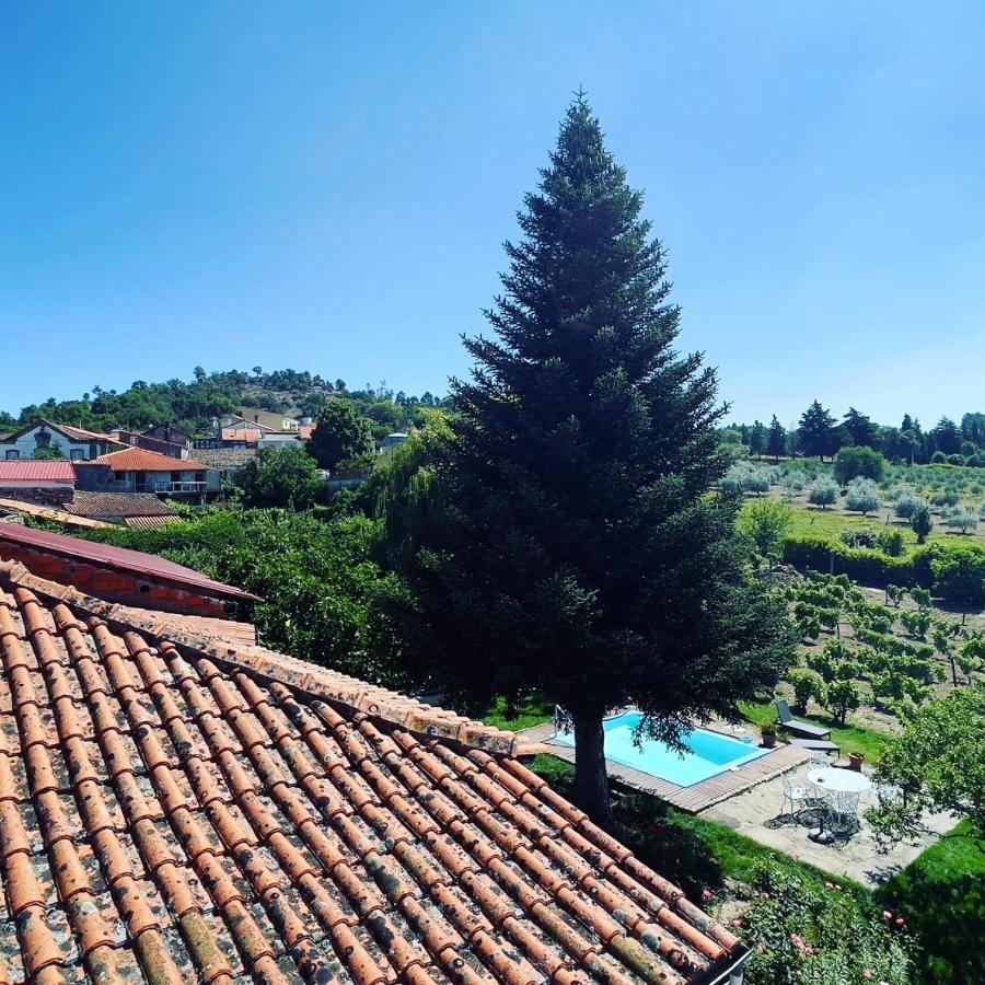 Casa Do Beco B&B Douro - Guest House Parambos Eksteriør billede