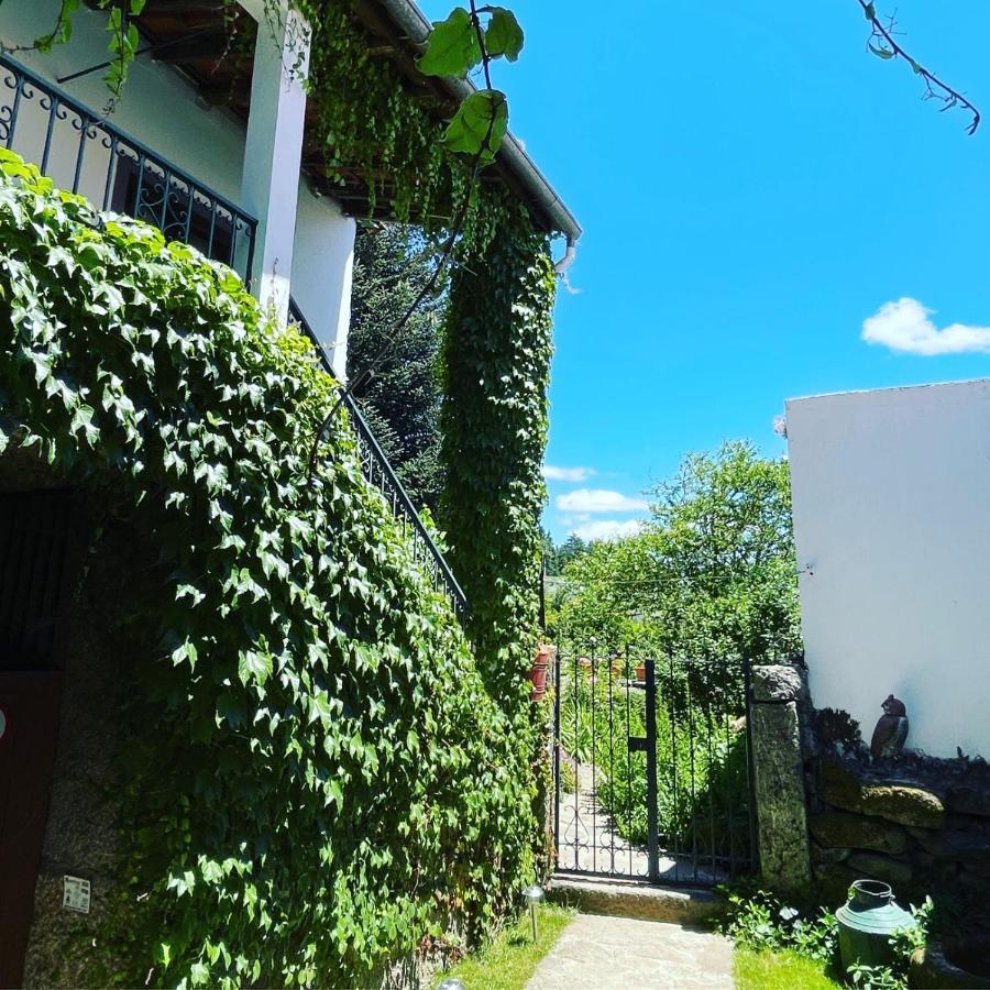 Casa Do Beco B&B Douro - Guest House Parambos Eksteriør billede